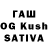 Псилоцибиновые грибы Magic Shrooms Ismet Baykal