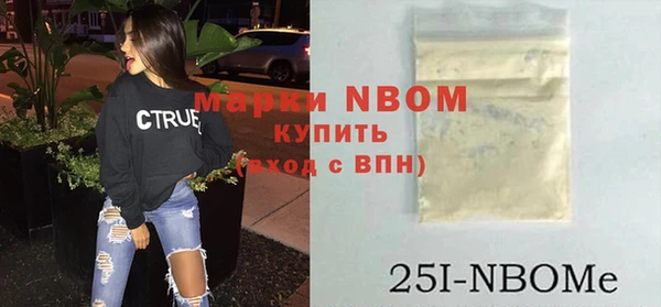 индика Богданович