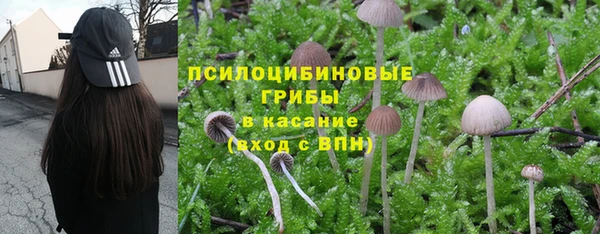 мяу мяу мука Белоозёрский