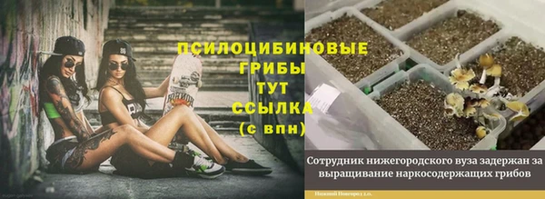 винт Белокуриха